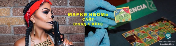 индика Абинск