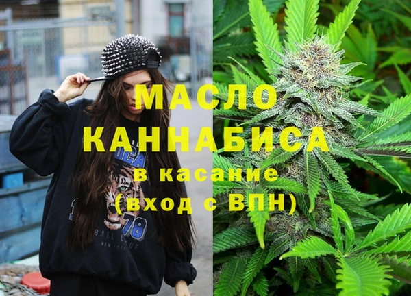 тгк Абаза