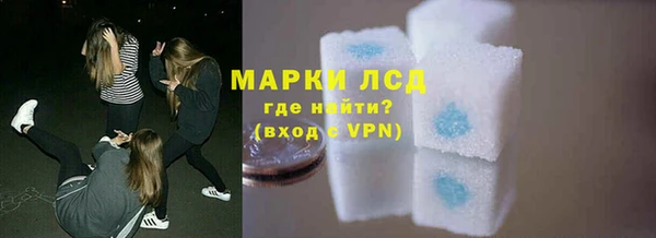 индика Абинск