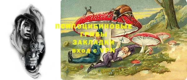 тгк Абаза