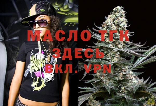 индика Абинск