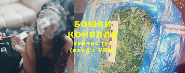 ALPHA-PVP Новозыбков