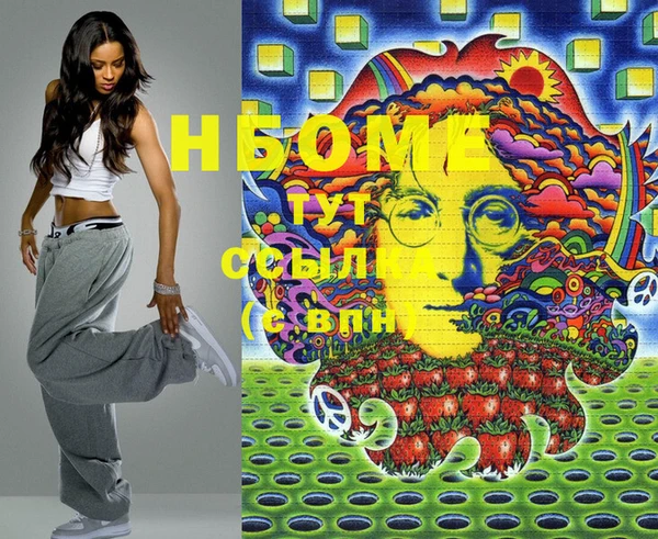 индика Абинск